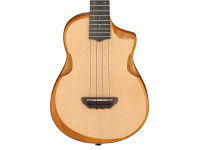 Ibanez AUT10-OPN Ibanez AUT10-OPN